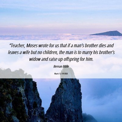 Picture 06 - Mark 12:19 BSB - “Teacher, Moses wrote for us that if a man’s - Bible Verse Picture