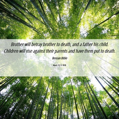 Picture 06 - Mark 13:12 BSB - Brother will betray brother to death, and a - Bible Verse Picture