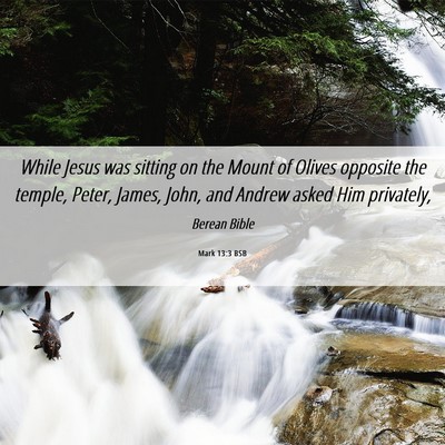 Picture 06 - Mark 13:3 BSB - While Jesus was sitting on the Mount of Olives - Bible Verse Picture