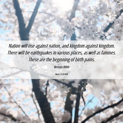 Picture 06 - Mark 13:8 BSB - Nation will rise against nation, and kingdom - Bible Verse Picture