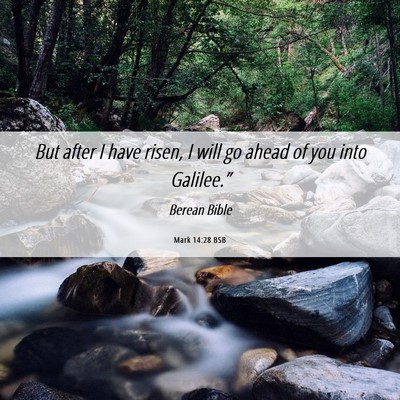 Picture 06 - Mark 14:28 BSB - But after I have risen, I will go ahead of you - Bible Verse Picture