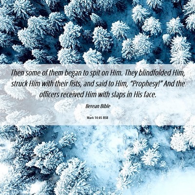 Picture 06 - Mark 14:65 BSB - Then some of them began to spit on Him. They - Bible Verse Picture