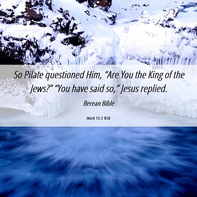 Picture 06 - Mark 15:2 BSB - So Pilate questioned Him, “Are You the King of - Bible Verse Picture