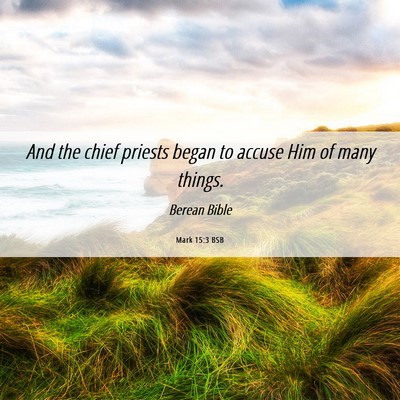 Picture 06 - Mark 15:3 BSB - And the chief priests began to accuse Him of many - Bible Verse Picture