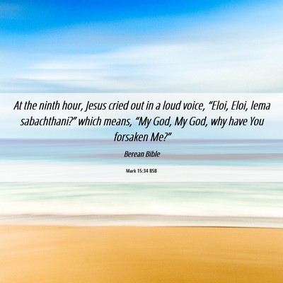 Picture 06 - Mark 15:34 BSB - At the ninth hour, Jesus cried out in a loud - Bible Verse Picture