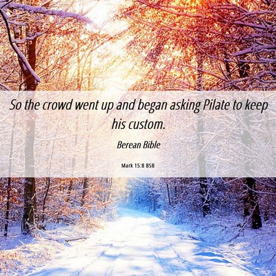 Picture 06 - Mark 15:8 BSB - So the crowd went up and began asking Pilate to - Bible Verse Picture