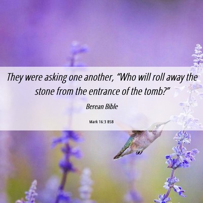Picture 06 - Mark 16:3 BSB - They were asking one another, “Who will roll - Bible Verse Picture