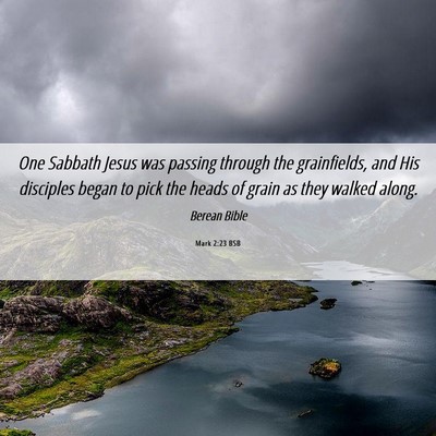 Picture 06 - Mark 2:23 BSB - One Sabbath Jesus was passing through the - Bible Verse Picture
