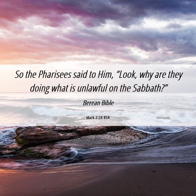 Picture 06 - Mark 2:24 BSB - So the Pharisees said to Him, “Look, why are - Bible Verse Picture