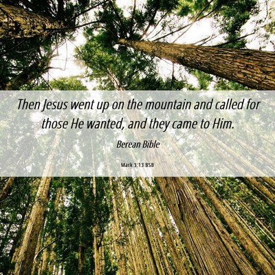 Picture 06 - Mark 3:13 BSB - Then Jesus went up on the mountain and called for - Bible Verse Picture
