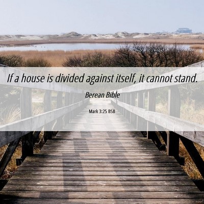 Picture 06 - Mark 3:25 BSB - If a house is divided against itself, it cannot - Bible Verse Picture