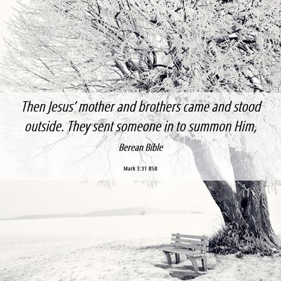 Picture 06 - Mark 3:31 BSB - Then Jesus’ mother and brothers came and stood - Bible Verse Picture