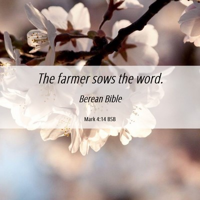 Picture 06 - Mark 4:14 BSB - The farmer sows the - Bible Verse Picture