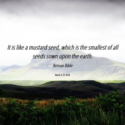 Picture 06 - Mark 4:31 BSB - It is like a mustard seed, which is the smallest - Bible Verse Picture