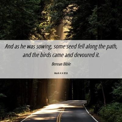 Picture 06 - Mark 4:4 BSB - And as he was sowing, some seed fell along the - Bible Verse Picture