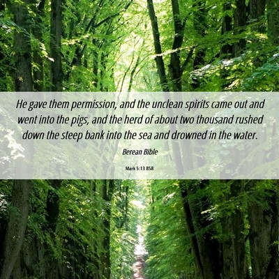 Picture 06 - Mark 5:13 BSB - He gave them permission, and the unclean spirits - Bible Verse Picture