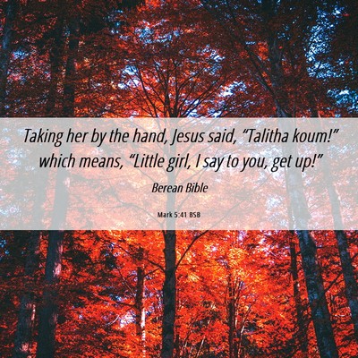 Picture 06 - Mark 5:41 BSB - Taking her by the hand, Jesus said, “Talitha - Bible Verse Picture