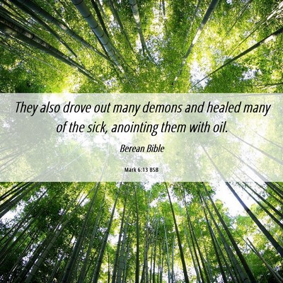 Picture 06 - Mark 6:13 BSB - They also drove out many demons and healed many - Bible Verse Picture
