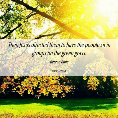 Picture 06 - Mark 6:39 BSB - Then Jesus directed them to have the people sit - Bible Verse Picture