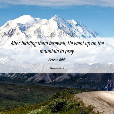 Picture 06 - Mark 6:46 BSB - After bidding them farewell, He went up on the - Bible Verse Picture
