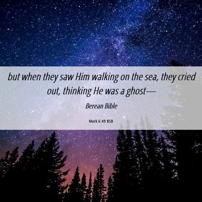 Picture 06 - Mark 6:49 BSB - but when they saw Him walking on the sea, they - Bible Verse Picture