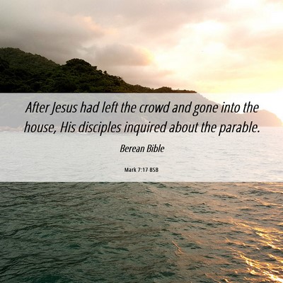 Picture 06 - Mark 7:17 BSB - After Jesus had left the crowd and gone into the - Bible Verse Picture