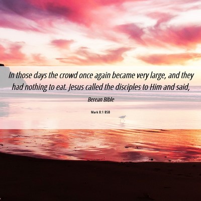 Picture 06 - Mark 8:1 BSB - In those days the crowd once again became very - Bible Verse Picture
