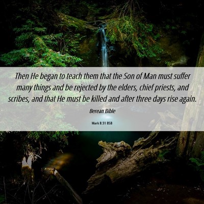 Picture 06 - Mark 8:31 BSB - Then He began to teach them that the Son of Man - Bible Verse Picture