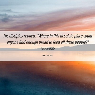 Picture 06 - Mark 8:4 BSB - His disciples replied, “Where in this desolate - Bible Verse Picture