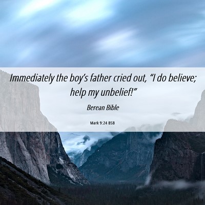 Picture 06 - Mark 9:24 BSB - Immediately the boy’s father cried out, “I do - Bible Verse Picture