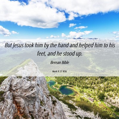 Picture 06 - Mark 9:27 BSB - But Jesus took him by the hand and helped him to - Bible Verse Picture