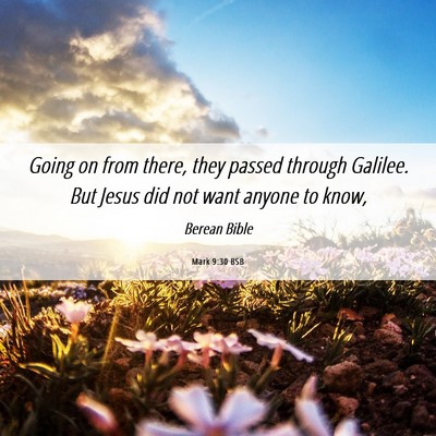 Picture 06 - Mark 9:30 BSB - Going on from there, they passed through Galilee. - Bible Verse Picture