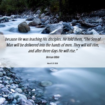 Picture 06 - Mark 9:31 BSB - because He was teaching His disciples. He told - Bible Verse Picture
