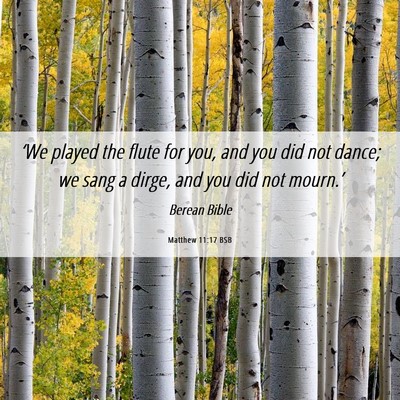 Picture 06 - Matthew 11:17 BSB - ‘We played the flute for you, and you did not - Bible Verse Picture