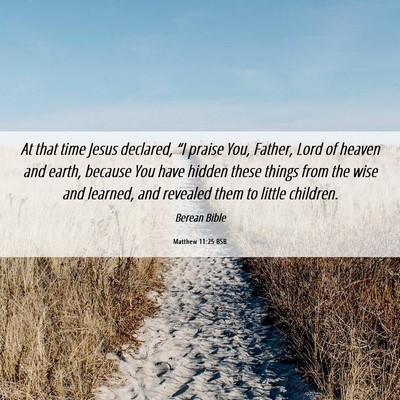 Picture 06 - Matthew 11:25 BSB - At that time Jesus declared, “I praise You, - Bible Verse Picture