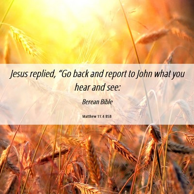 Picture 06 - Matthew 11:4 BSB - Jesus replied, “Go back and report to John what - Bible Verse Picture
