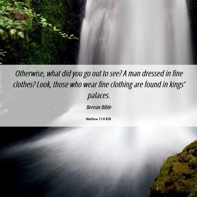 Picture 06 - Matthew 11:8 BSB - Otherwise, what did you go out to see? A man - Bible Verse Picture