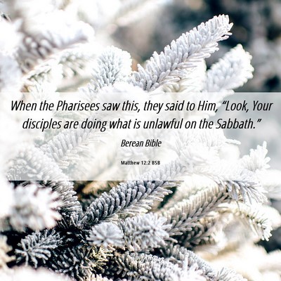 Picture 06 - Matthew 12:2 BSB - When the Pharisees saw this, they said to Him, - Bible Verse Picture