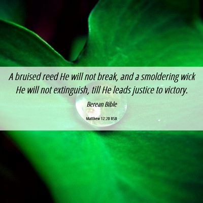 Picture 06 - Matthew 12:20 BSB - A bruised reed He will not break, and a - Bible Verse Picture