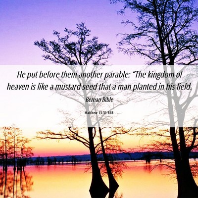 Picture 06 - Matthew 13:31 BSB - He put before them another parable: “The - Bible Verse Picture