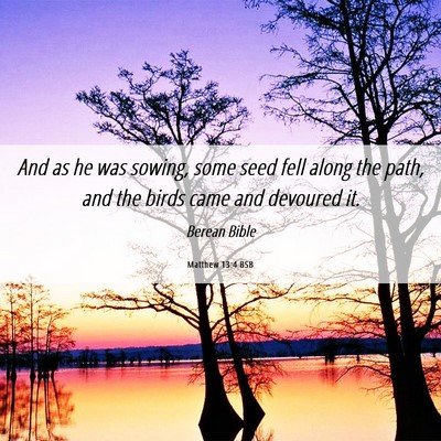 Picture 06 - Matthew 13:4 BSB - And as he was sowing, some seed fell along the - Bible Verse Picture
