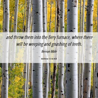 Picture 06 - Matthew 13:50 BSB - and throw them into the fiery furnace, where - Bible Verse Picture