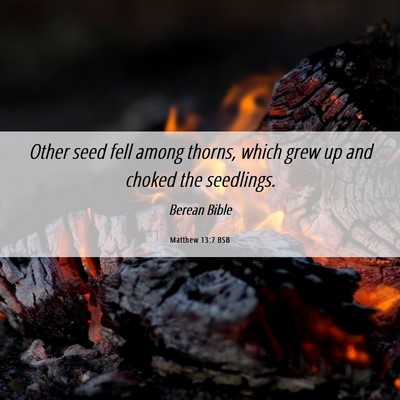 Picture 06 - Matthew 13:7 BSB - Other seed fell among thorns, which grew up and - Bible Verse Picture
