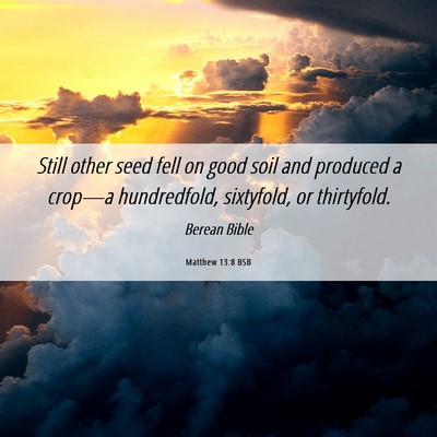 Picture 06 - Matthew 13:8 BSB - Still other seed fell on good soil and produced a - Bible Verse Picture