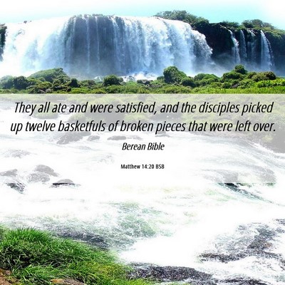 Picture 06 - Matthew 14:20 BSB - They all ate and were satisfied, and the - Bible Verse Picture