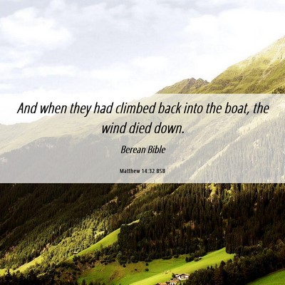 Picture 06 - Matthew 14:32 BSB - And when they had climbed back into the boat, the - Bible Verse Picture