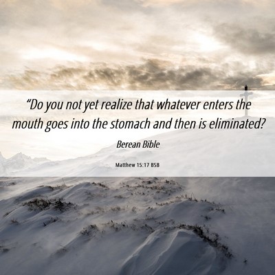 Picture 06 - Matthew 15:17 BSB - “Do you not yet realize that whatever enters - Bible Verse Picture