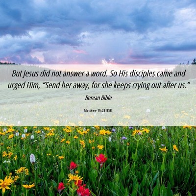 Picture 06 - Matthew 15:23 BSB - But Jesus did not answer a word. So His disciples - Bible Verse Picture