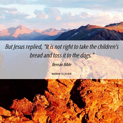Picture 06 - Matthew 15:26 BSB - But Jesus replied, “It is not right to take the - Bible Verse Picture