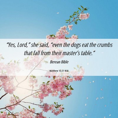 Picture 06 - Matthew 15:27 BSB - “Yes, Lord,” she said, “even the dogs eat - Bible Verse Picture